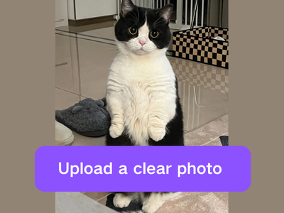 ai pet interview-upload photo